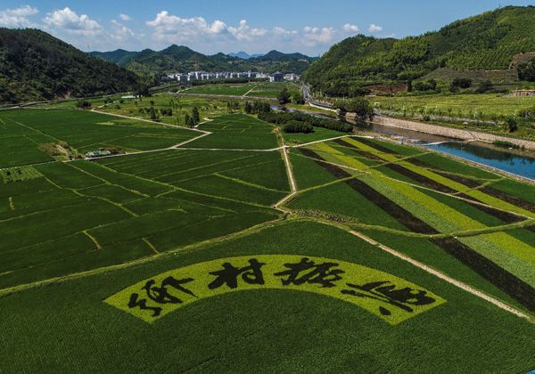 2023年乡村振兴国家补贴项目